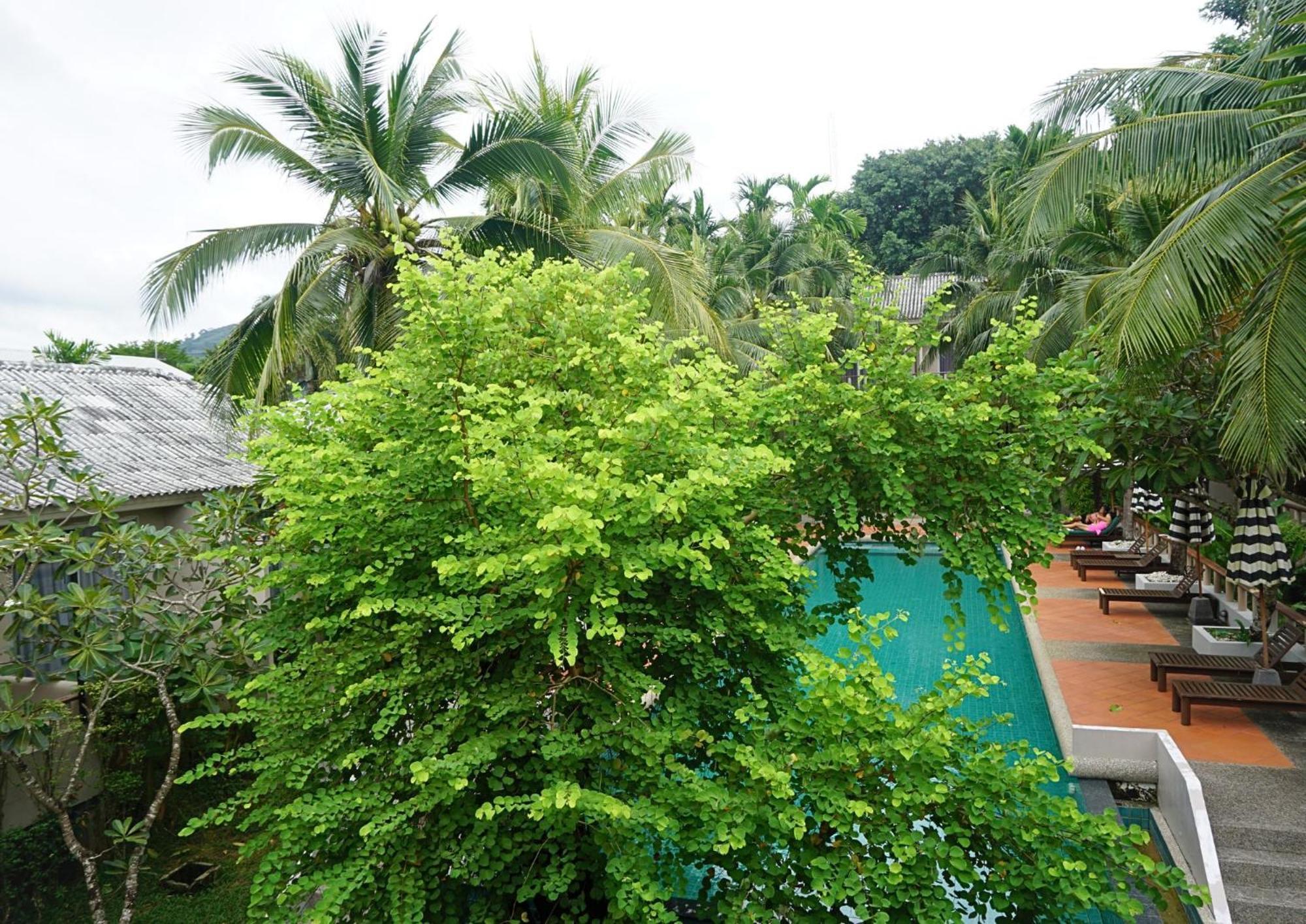 Signature Phuket Resort Чалонг Екстериор снимка